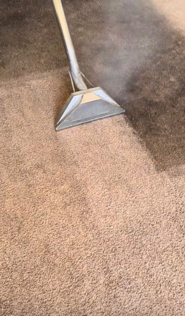 carpet cleaning services in longwood, fl