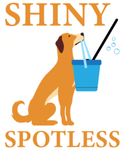 ShinyandSpotless