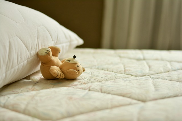 mattress with a toy on it